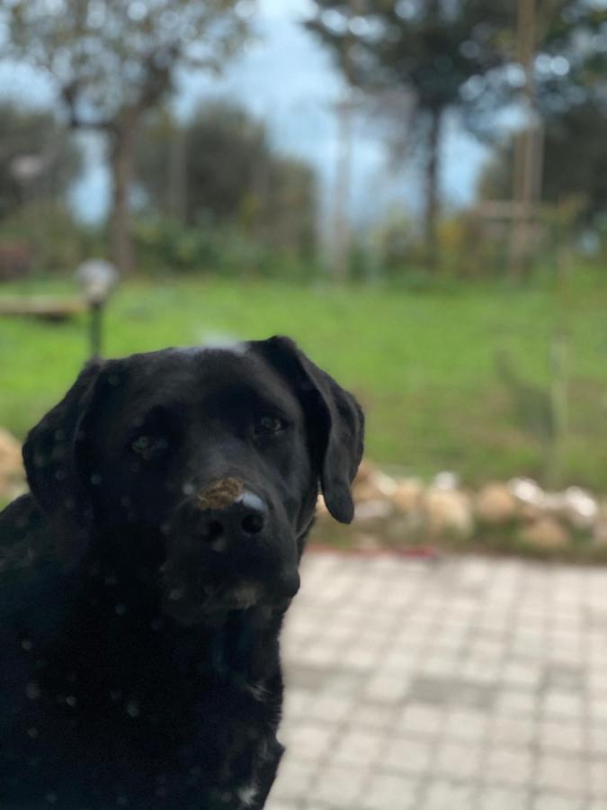 Bombrelais Bed & Breakfast Apice Bagian luar foto