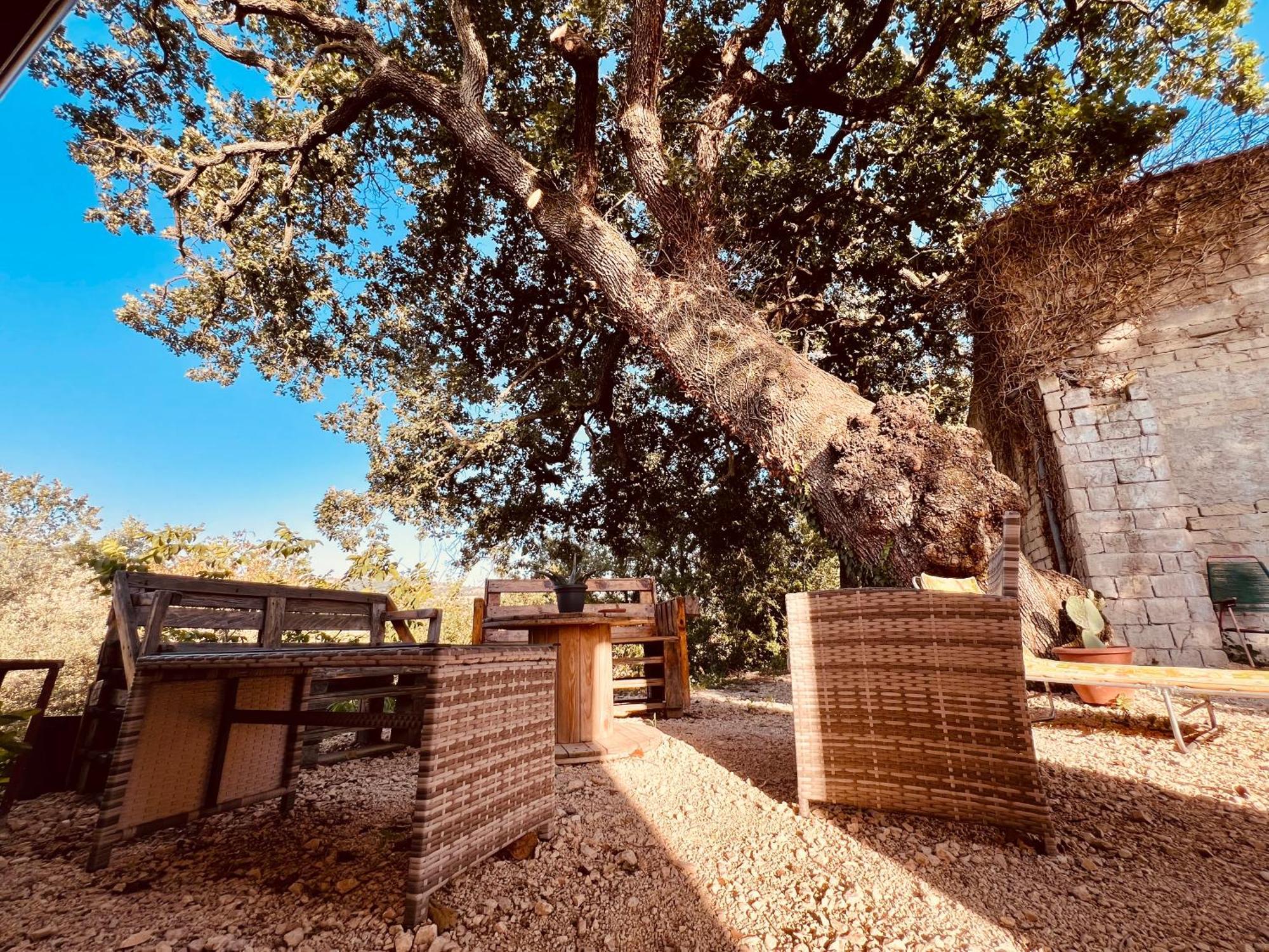 Bombrelais Bed & Breakfast Apice Bagian luar foto
